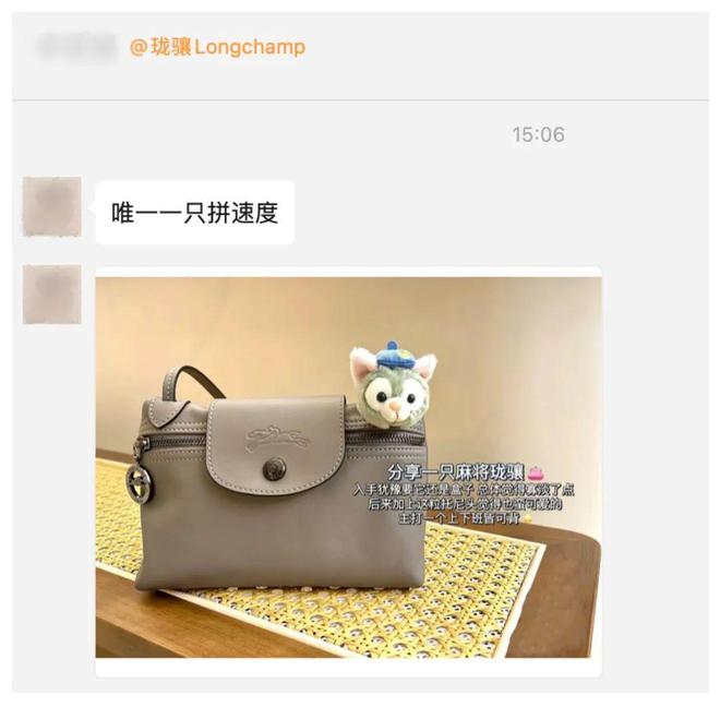 果然买Longchamp只有0次和无数次(图30)