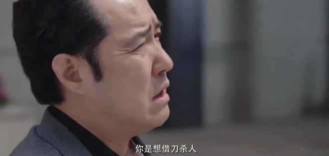 40集公安大剧来袭陆毅李乃文领衔阵容不输《人民的名义(图20)