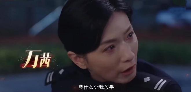 40集公安大剧来袭陆毅李乃文领衔阵容不输《人民的名义(图16)