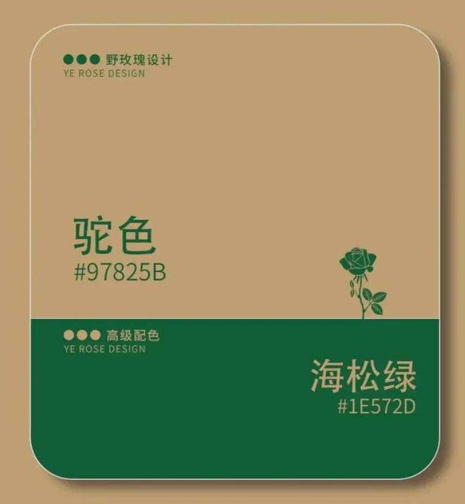 2024~2025年流行色5组配色公式套搭配示范谁穿谁美!(图5)