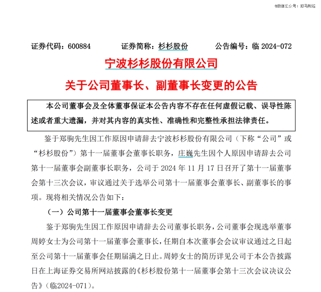 660亿「杉杉系」换了女掌门(图1)