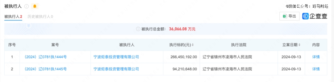 660亿「杉杉系」换了女掌门(图4)