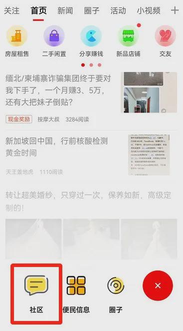 2024年新加坡猫咪节开幕啦这里也有中国的狸花猫？！(图3)