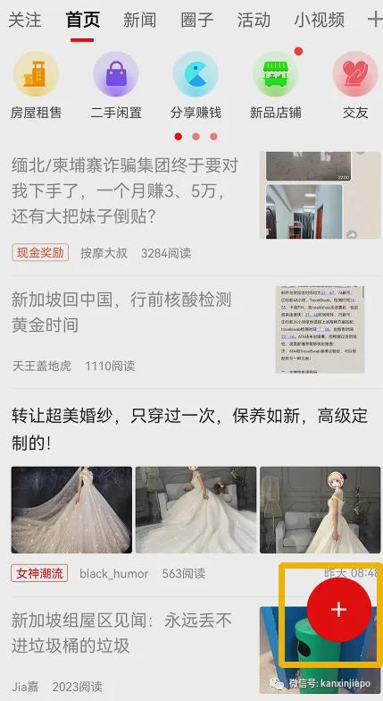 2024年新加坡猫咪节开幕啦这里也有中国的狸花猫？！(图2)