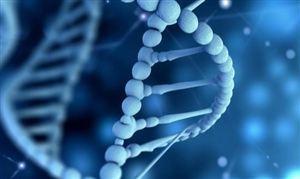 2024年制服行业战略规划制定(图7)