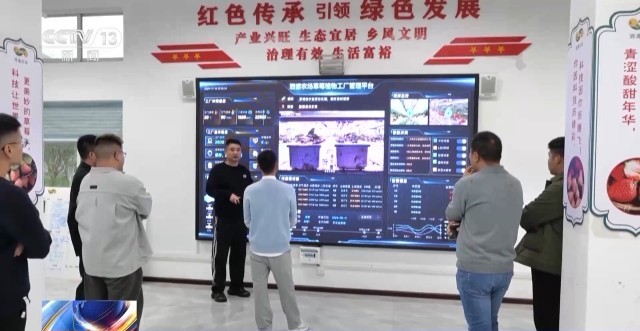 娄山关下新农人“植物工厂”开创新赛道(图3)