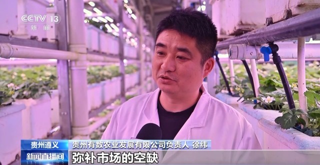 娄山关下新农人“植物工厂”开创新赛道(图2)