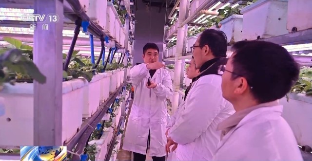 娄山关下新农人“植物工厂”开创新赛道(图5)