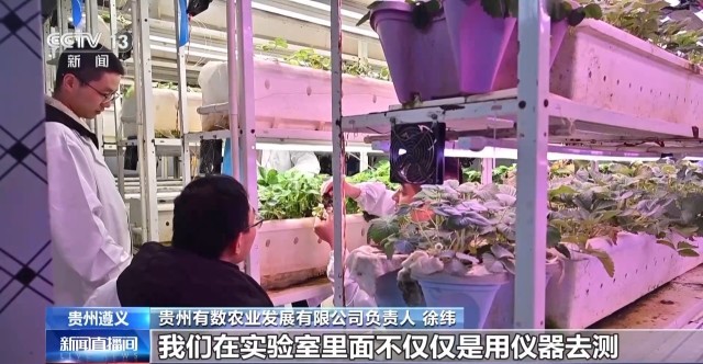 娄山关下新农人“植物工厂”开创新赛道(图4)