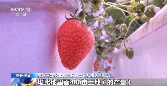 娄山关下新农人“植物工厂”开创新赛道(图6)