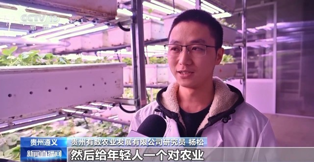 娄山关下新农人“植物工厂”开创新赛道(图8)