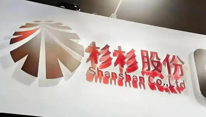 美女主持周婷：懂财经、懂投资、有头脑接管杉杉集团2个月后破产(图2)