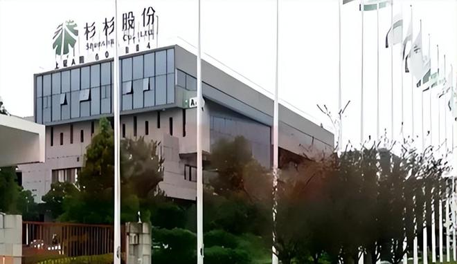 美女主持周婷：懂财经、懂投资、有头脑接管杉杉集团2个月后破产(图18)