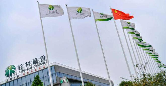 美女主持周婷：懂财经、懂投资、有头脑接管杉杉集团2个月后破产(图16)