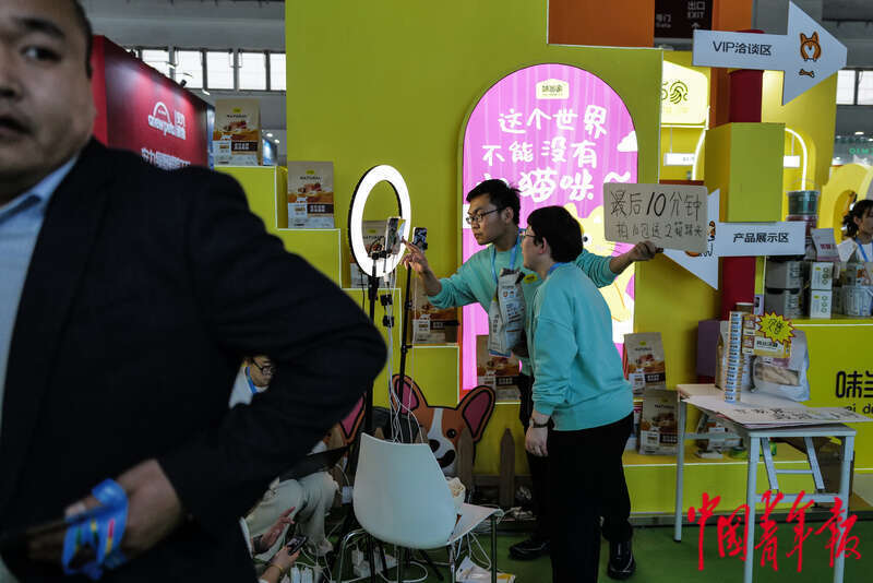 九游体育：宠物时装、宠物直播、AI无创体检“它经济”持续升温(图14)