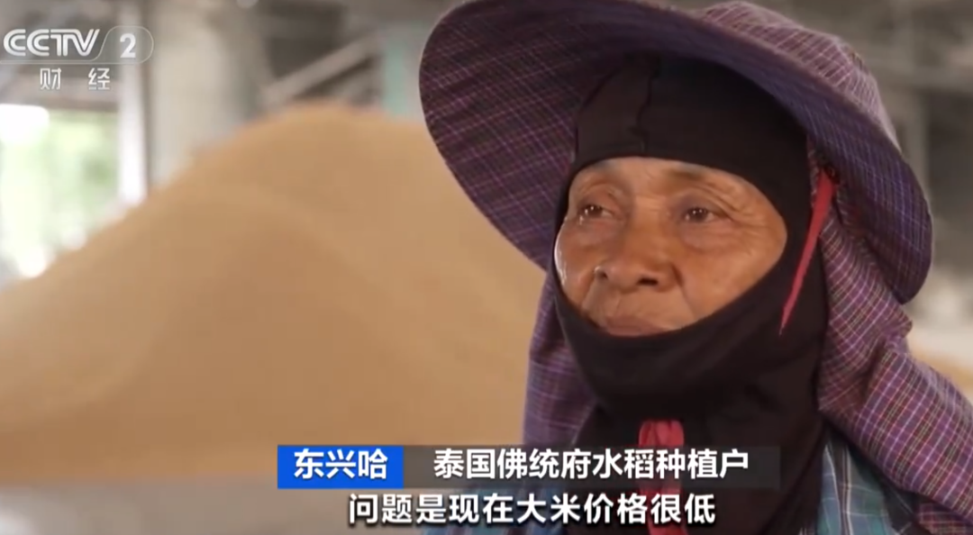 日本主妇在韩国买米1公斤“仅”15元还分享“攻略”！全球米价都在跌日本却涨了又涨原因在哪里？(图1)