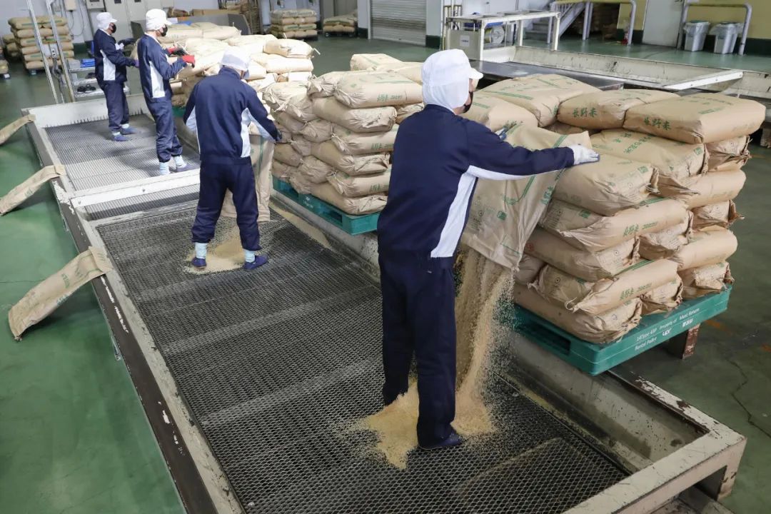 日本主妇在韩国买米1公斤“仅”15元还分享“攻略”！全球米价都在跌日本却涨了又涨原因在哪里？(图2)