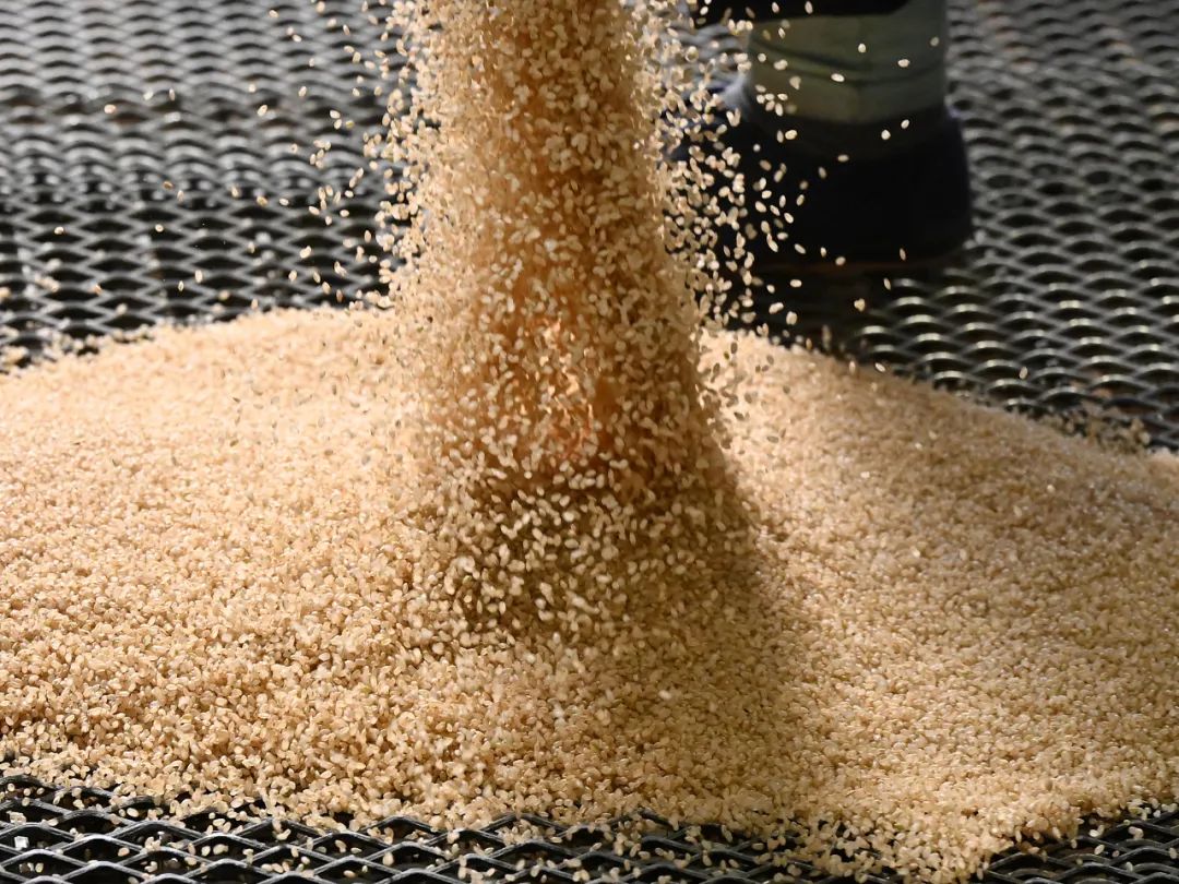 日本主妇在韩国买米1公斤“仅”15元还分享“攻略”！全球米价都在跌日本却涨了又涨原因在哪里？(图6)