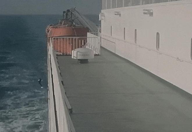 九游体育：2024最狠毒的男人：辽宁“推妻坠海案”最新细节曝光(图5)