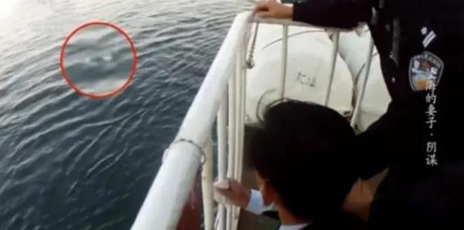 九游体育：2024最狠毒的男人：辽宁“推妻坠海案”最新细节曝光(图12)