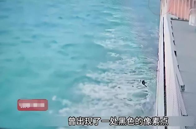 九游体育：2024最狠毒的男人：辽宁“推妻坠海案”最新细节曝光(图7)