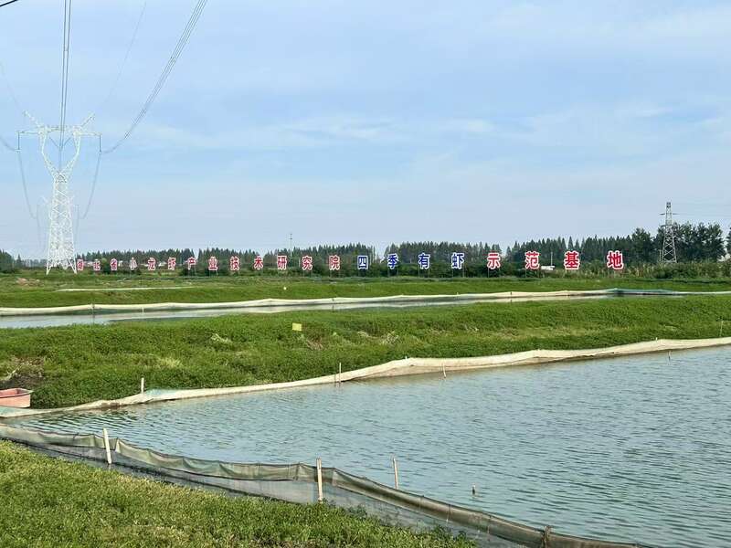 活力中国调研行｜湖北：“向上曲线”背后的“活力密码”(图4)