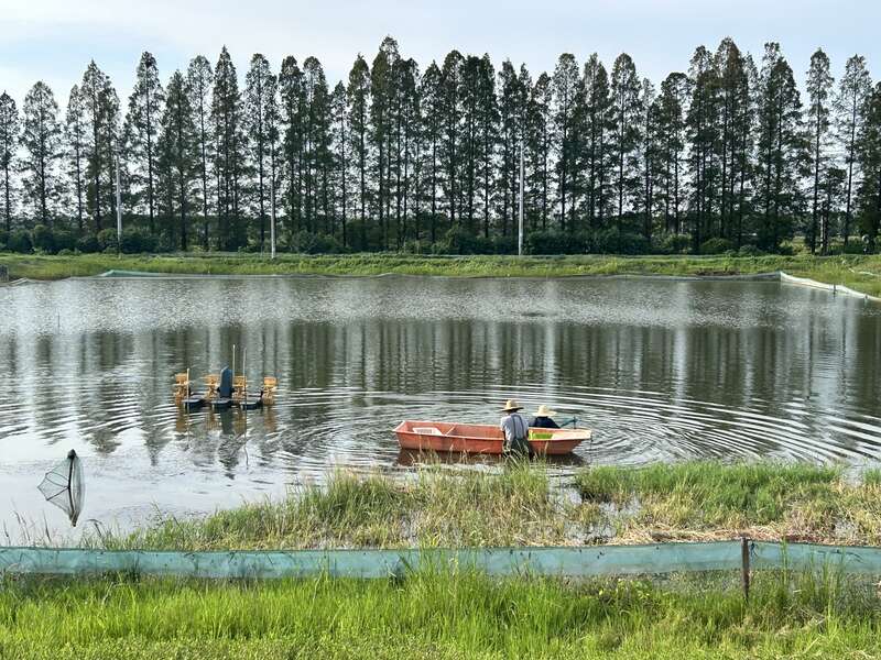 活力中国调研行｜湖北：“向上曲线”背后的“活力密码”(图3)