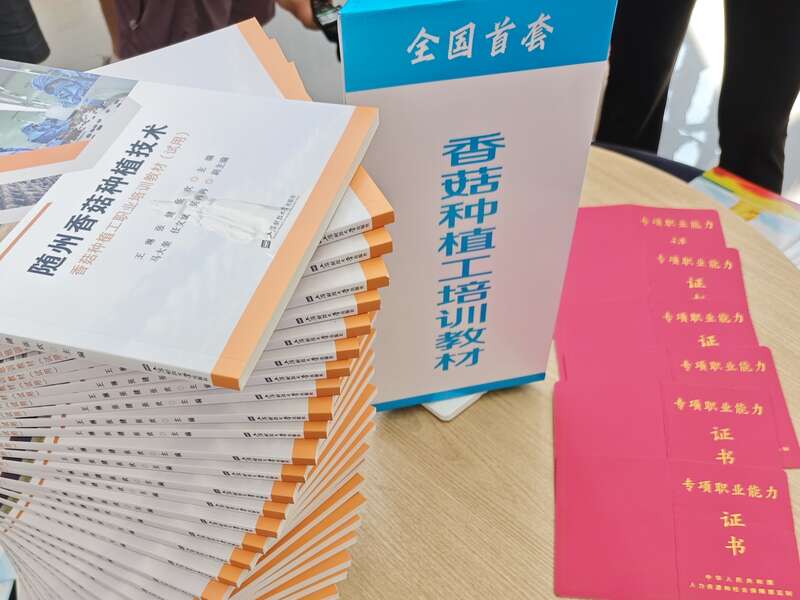 活力中国调研行｜湖北：“向上曲线”背后的“活力密码”(图7)