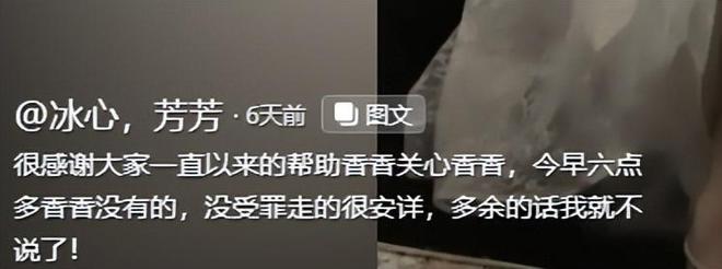 九月还未过半已有4位名人不幸去世！年仅37岁的他最让人唏嘘(图12)