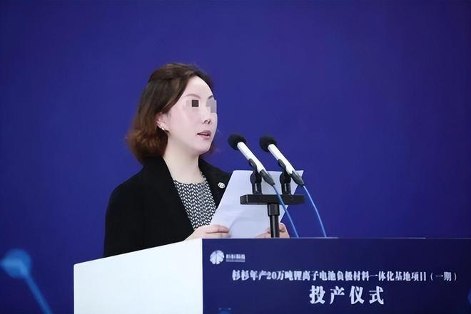 负债超398亿！前宁波首富江山改姓海事大佬拟33亿“抄底”接盘(图18)