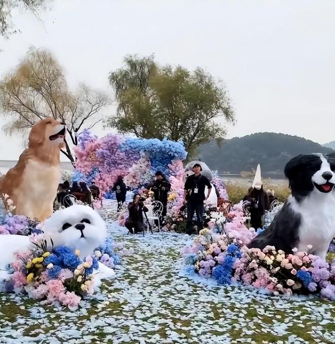 黄子韬大婚出洋相钻戒重500克拉现场脏乱土徐艺洋脸色好难看(图1)