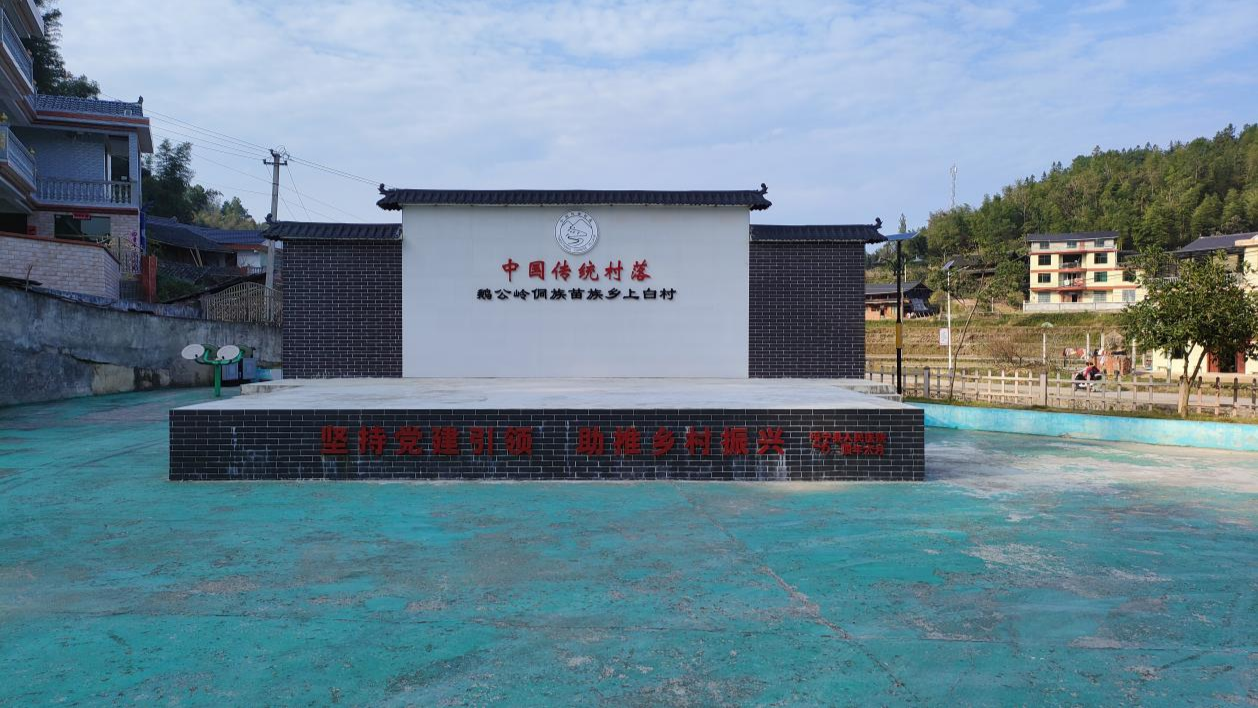 九游体育网站：湖南绥宁：党建引领“双轮驱动”绘就乡村振兴新画卷(图2)