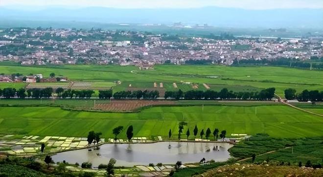 九游体育网站：中国又1个大省被“占领”37万外国人赖着不走还想要长久生活(图9)