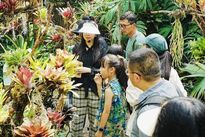 九游体育网站：中国又1个大省被“占领”37万外国人赖着不走还想要长久生活(图8)