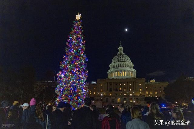 百年首秀！内华达红杉点亮华盛顿这棵圣诞树藏着3个美国密码(图1)