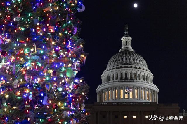 百年首秀！内华达红杉点亮华盛顿这棵圣诞树藏着3个美国密码(图5)