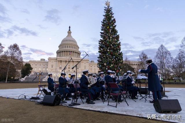 百年首秀！内华达红杉点亮华盛顿这棵圣诞树藏着3个美国密码(图6)