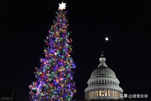 百年首秀！内华达红杉点亮华盛顿这棵圣诞树藏着3个美国密码(图3)