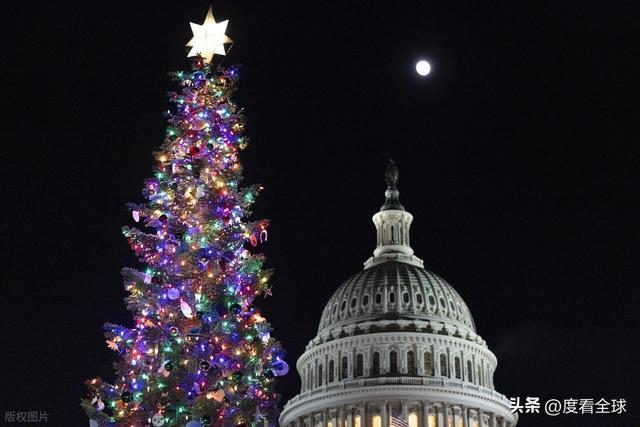 百年首秀！内华达红杉点亮华盛顿这棵圣诞树藏着3个美国密码(图8)