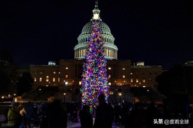 百年首秀！内华达红杉点亮华盛顿这棵圣诞树藏着3个美国密码(图14)
