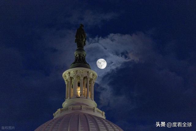 百年首秀！内华达红杉点亮华盛顿这棵圣诞树藏着3个美国密码(图11)