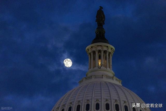 百年首秀！内华达红杉点亮华盛顿这棵圣诞树藏着3个美国密码(图12)