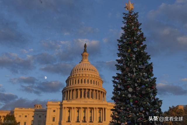 百年首秀！内华达红杉点亮华盛顿这棵圣诞树藏着3个美国密码(图13)