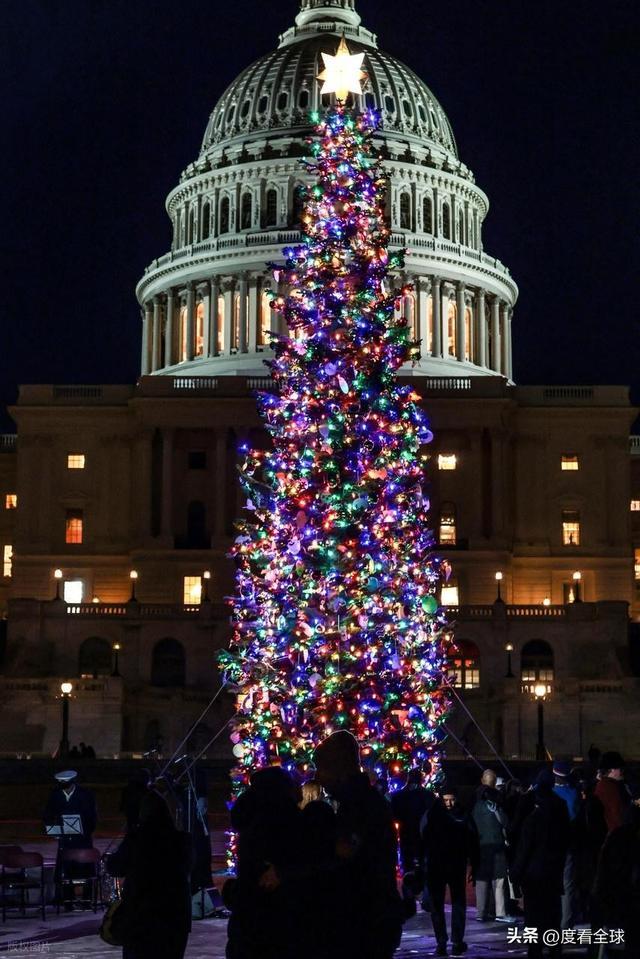 百年首秀！内华达红杉点亮华盛顿这棵圣诞树藏着3个美国密码(图20)
