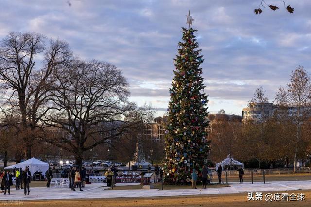 百年首秀！内华达红杉点亮华盛顿这棵圣诞树藏着3个美国密码(图17)