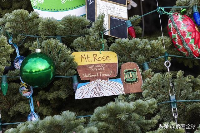 百年首秀！内华达红杉点亮华盛顿这棵圣诞树藏着3个美国密码(图15)