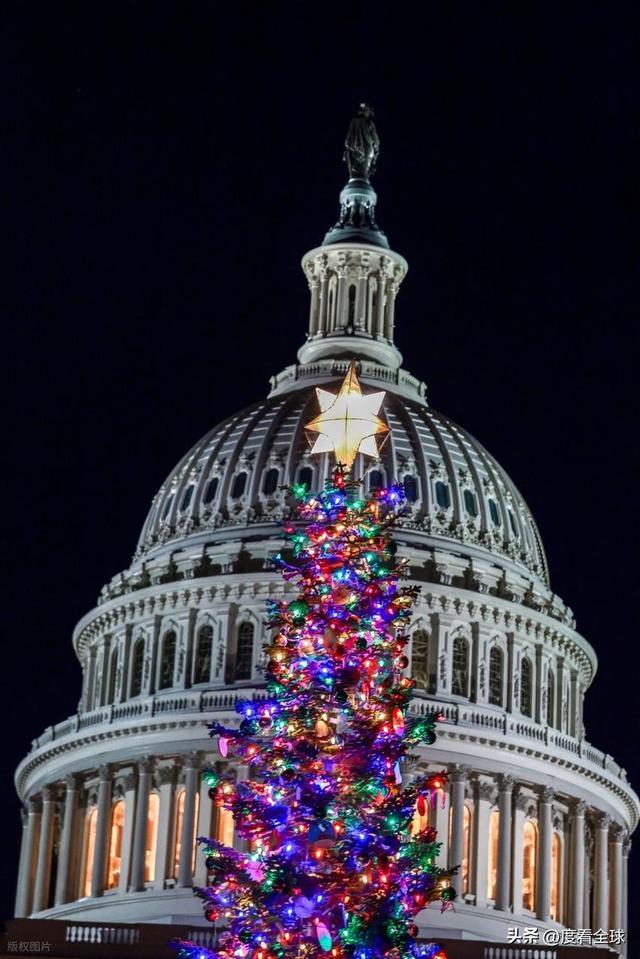 百年首秀！内华达红杉点亮华盛顿这棵圣诞树藏着3个美国密码(图18)