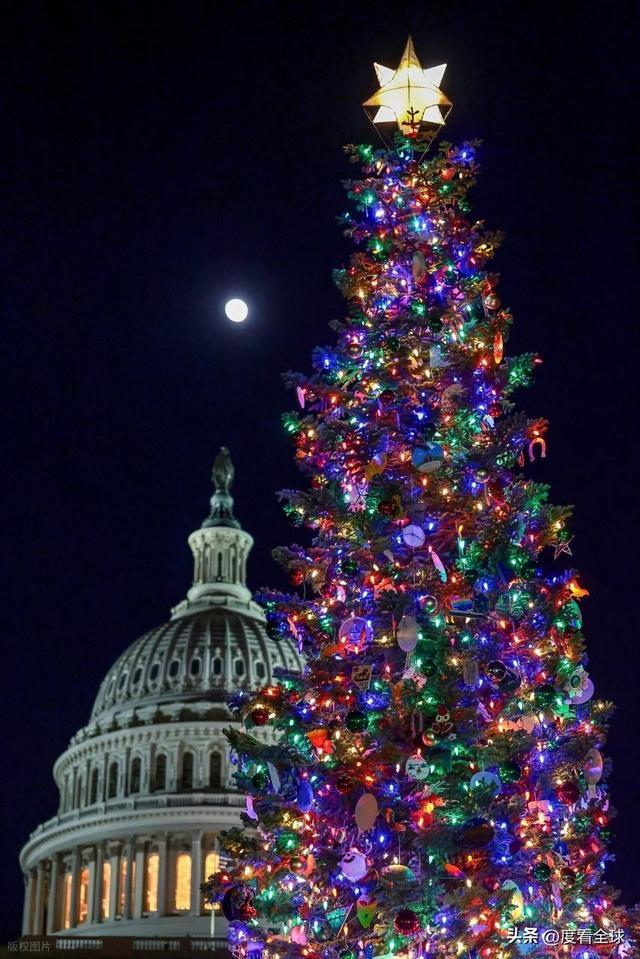 百年首秀！内华达红杉点亮华盛顿这棵圣诞树藏着3个美国密码(图19)