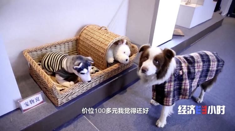 九游体育网站：国潮风起揭秘汉服百亿产业密码_菏泽新闻_大众网(图13)