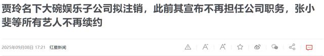 雷佳音没撒谎！退出春晚、解散公司、性格大变的贾玲证实他的话(图2)
